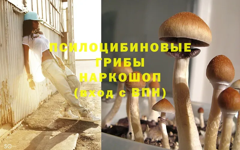 цена   Хабаровск  Псилоцибиновые грибы Magic Shrooms 